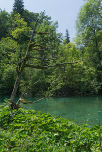 山林间的碧绿湖水