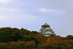 大阪城公园秋景