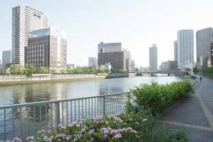 河畔城市风光