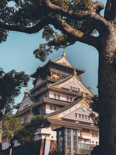 大阪城公园古建筑景观