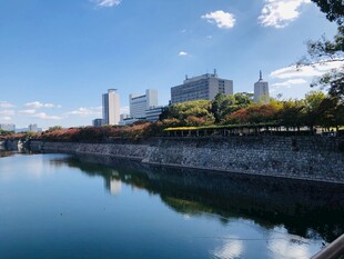 河畔城市风光宁静美好