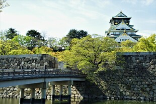 大阪城公园景致