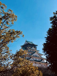 秋日下的古朴塔楼