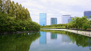 城市河畔美景