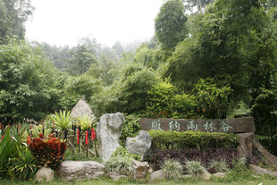 山林中的精致户外景观