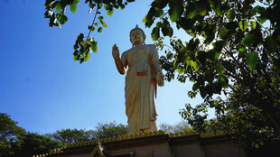 户外佛像蓝天绿树环绕