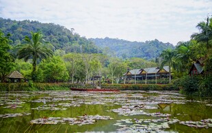 湖畔山林间的静谧风光