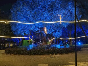 夜晚公园灯光璀璨景观