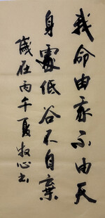 我命由我不由天 杨克东书法作品