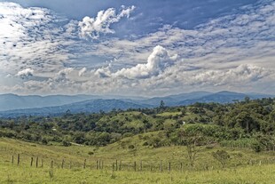 美丽田园风光远山近景
