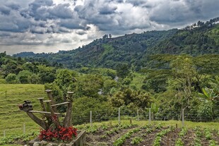 山间田园风光美景