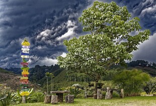 山间经幡绿树风景如画