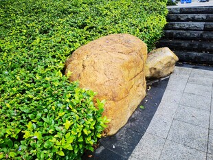 园林中造型独特的景观石