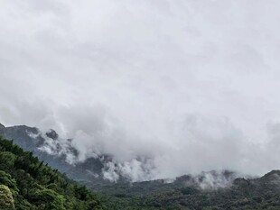 云雾缭绕的山间美景