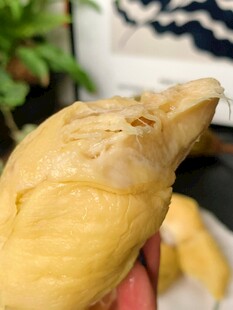 新鲜美味的榴莲果肉
