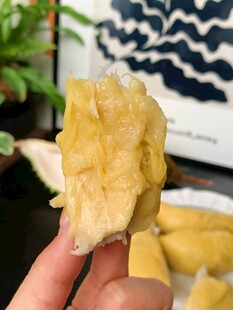 榴莲