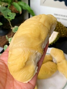 剥开的香甜榴莲果肉