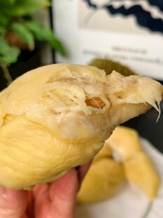 剥开的美味榴莲果肉
