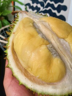 剥开的香甜榴莲果肉