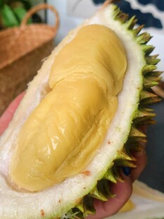 剥开的香甜美味榴莲果肉