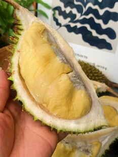 剥开的香甜榴莲果肉