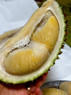 剥开的香甜美味榴莲果肉
