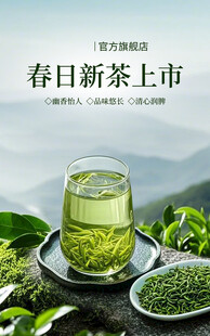 春日新茶上市 清新绿意浓
