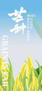 芒种海报