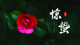惊蛰海报 