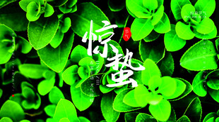 惊蛰海报 