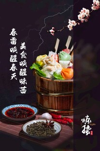 惊蛰海报 