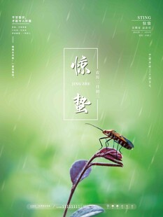 惊蛰海报 