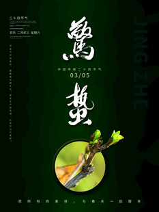 惊蛰海报