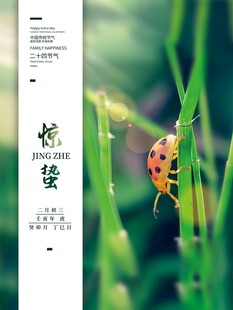 惊蛰海报 