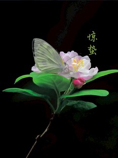 惊蛰海报