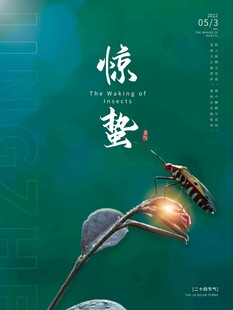惊蛰海报 