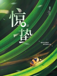 惊蛰海报 