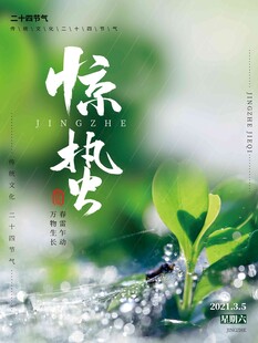 惊蛰海报 