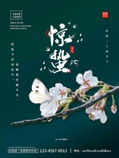 惊蛰海报