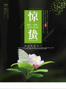 惊蛰海报 
