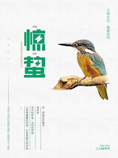 惊蛰海报