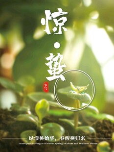 惊蛰海报