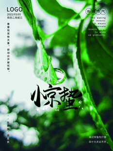 惊蛰海报
