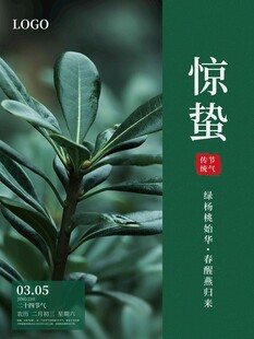 惊蛰海报