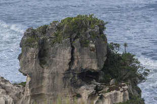 海边嶙峋岩石绿植相伴