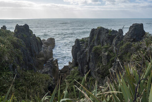 海岸嶙峋岩石景观