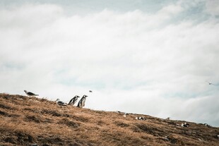 山丘上的孤独建筑