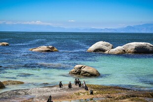 海边美景岩石与企鹅相伴