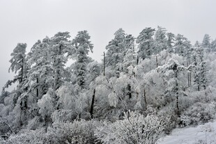 雪覆山林美景
