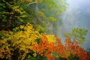 秋日山林瀑布美景